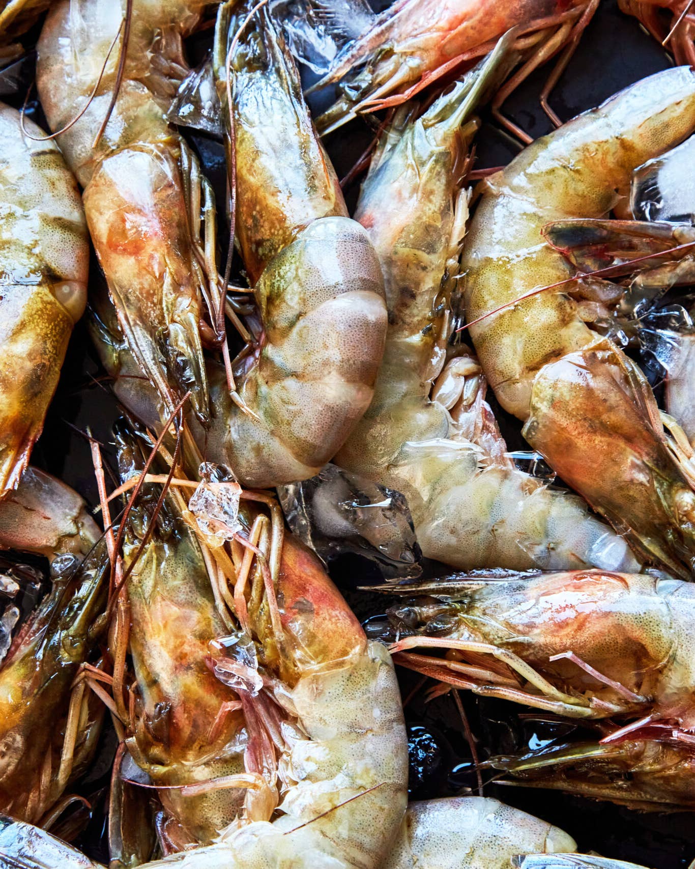 Kwame Onwuachi’s Peel-and-Eat Shrimp