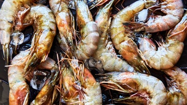 Kwame Onwuachi’s Peel-and-Eat Shrimp