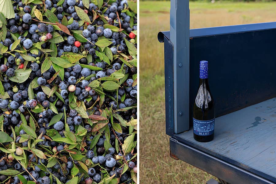 Maine WIld Blueberry Wine