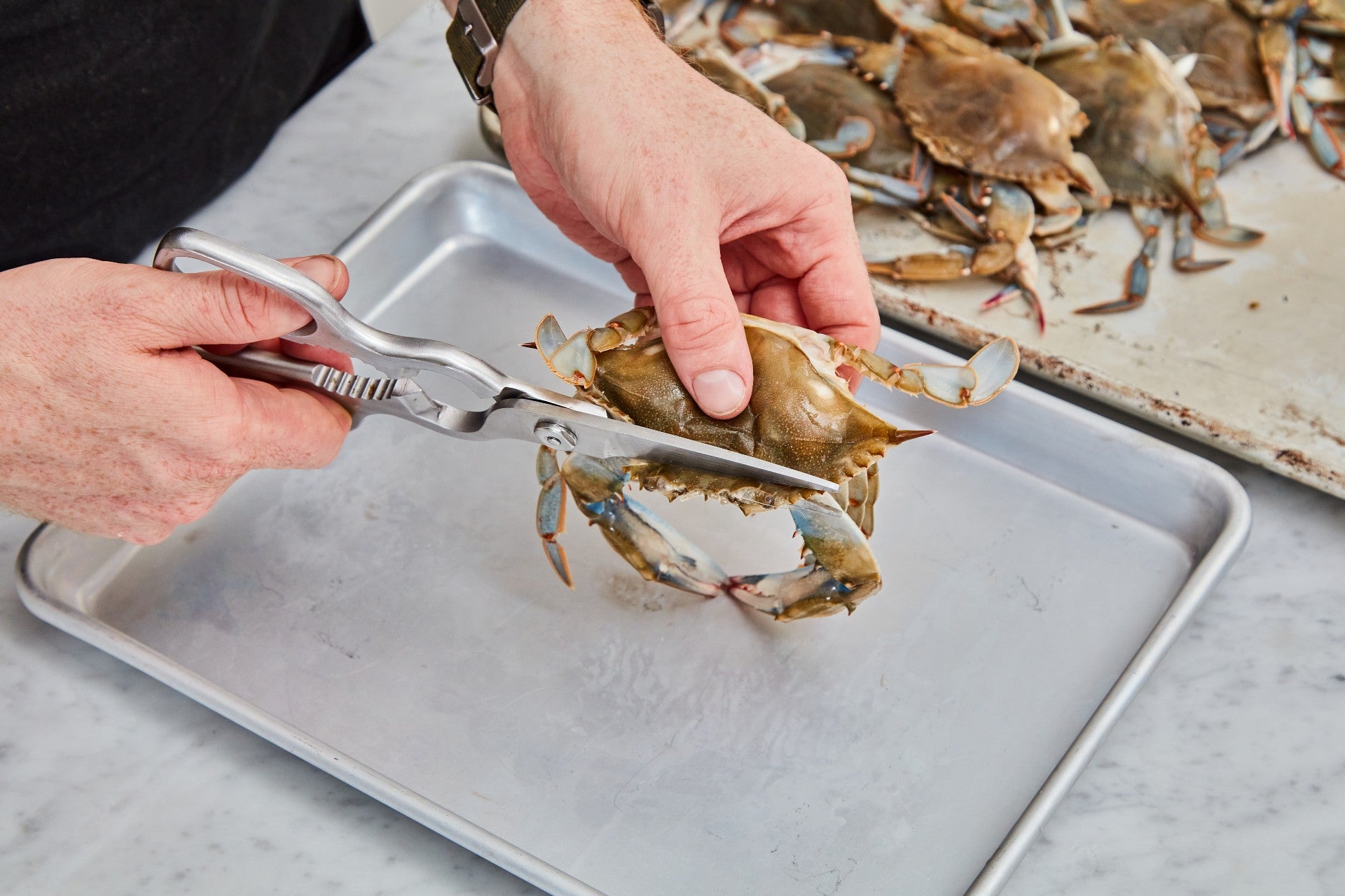 Soft Shell Crab