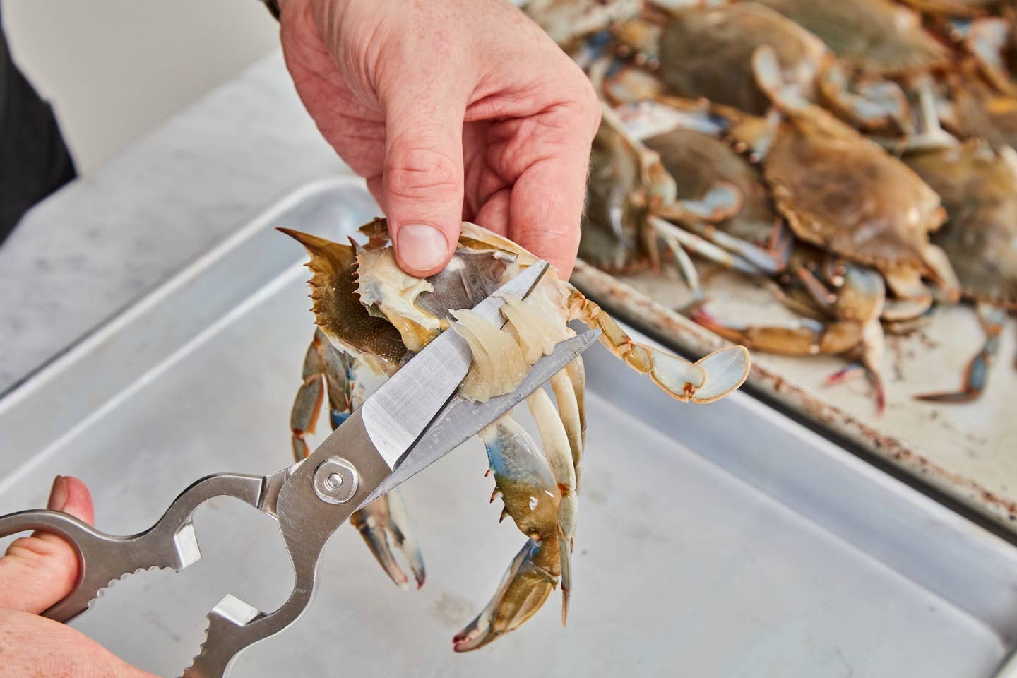 How to Clean Soft Shell Crab