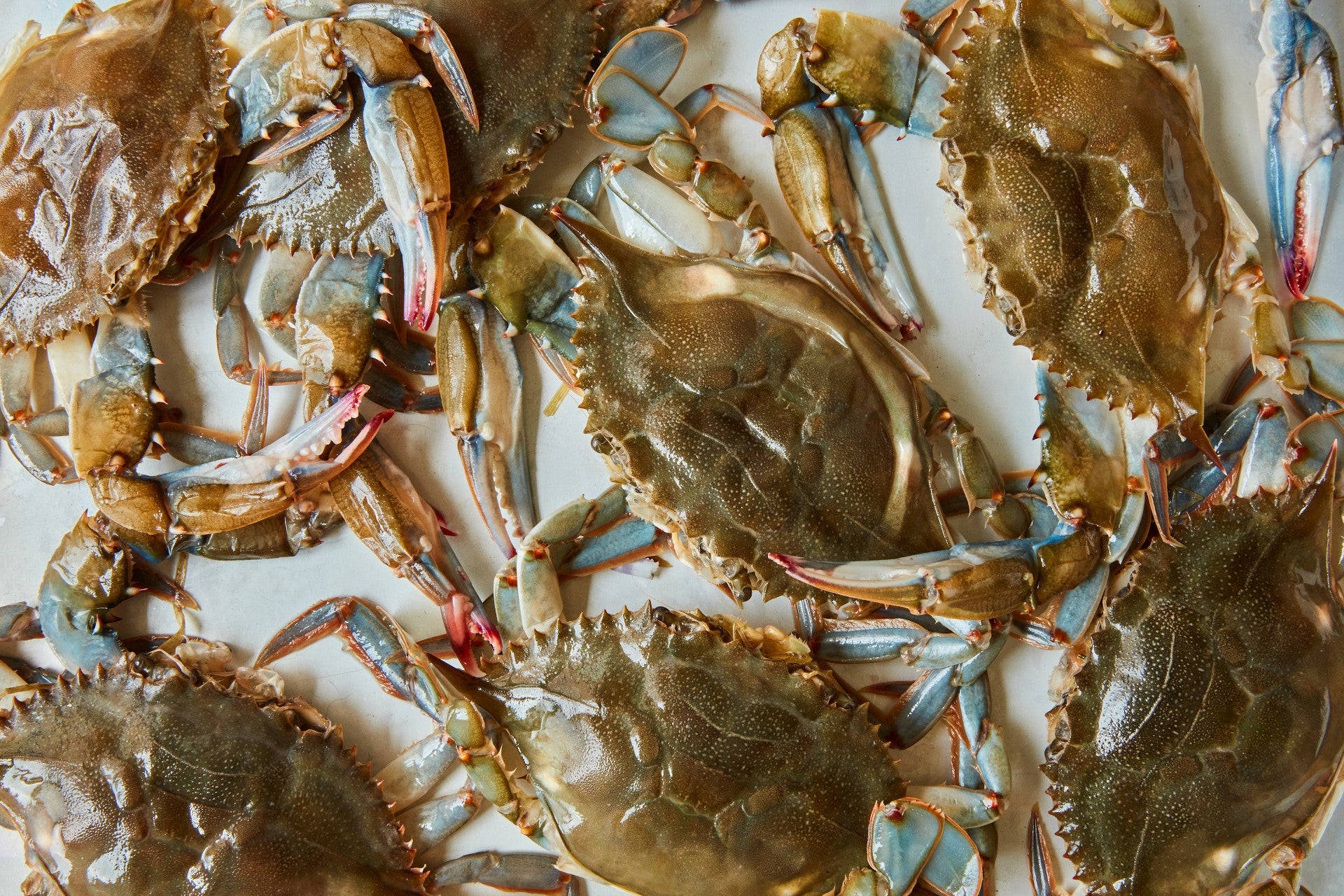 How to Clean a Soft Shell Crab