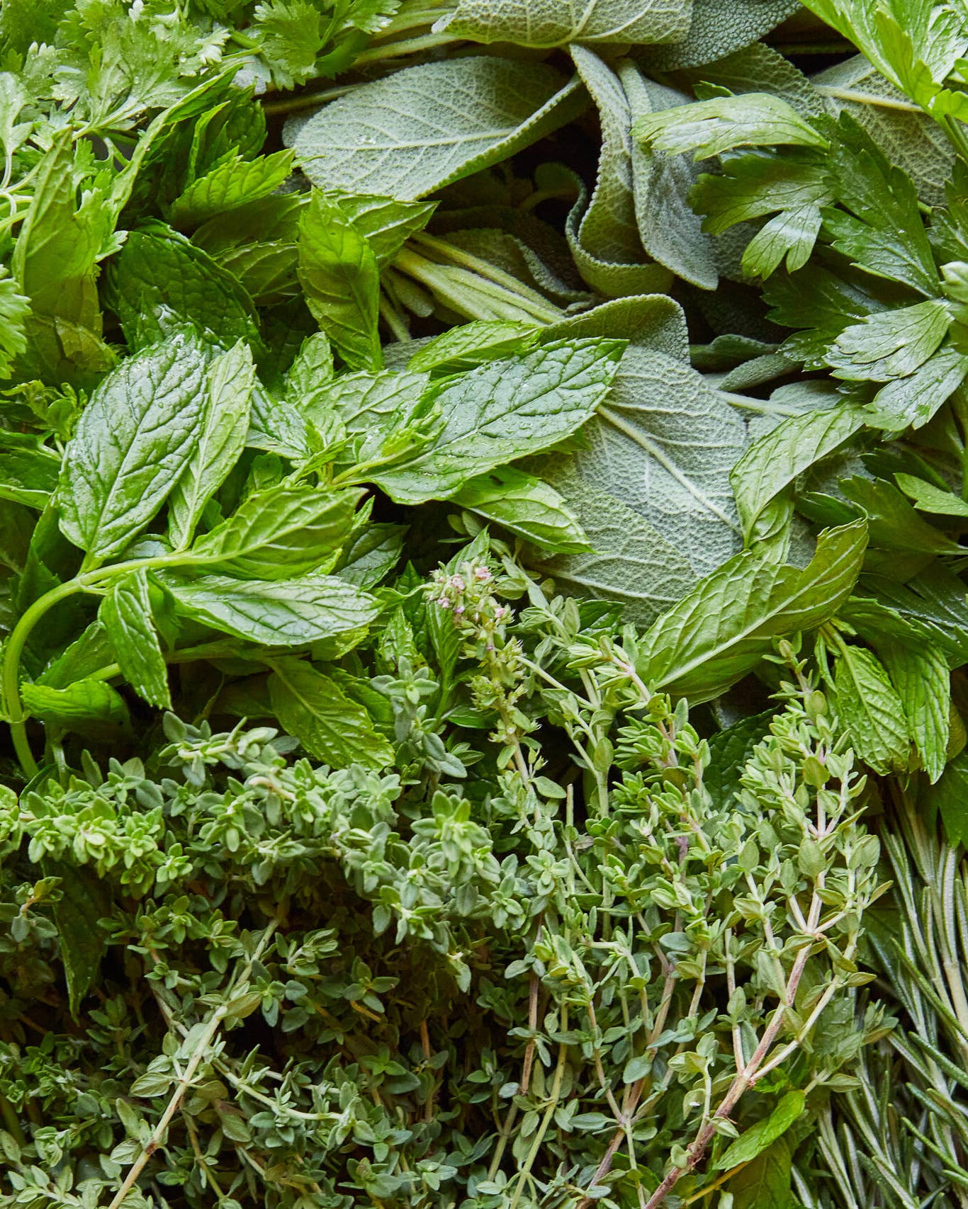 How to Use Up Fresh Herbs Before They Go Bad