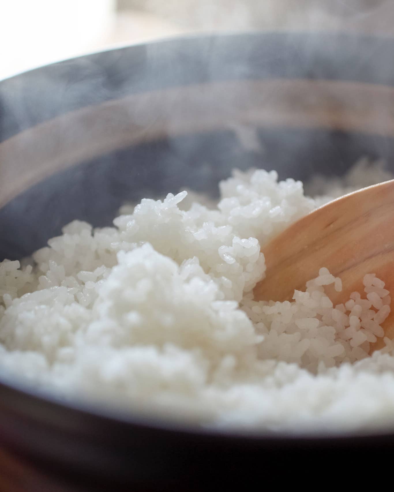 Make Mountains of Fluffy Grains with the Best Japanese Rice Cookers