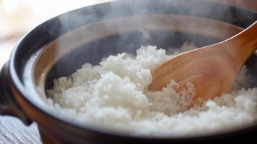 Make Mountains of Fluffy Grains with the Best Japanese Rice Cookers