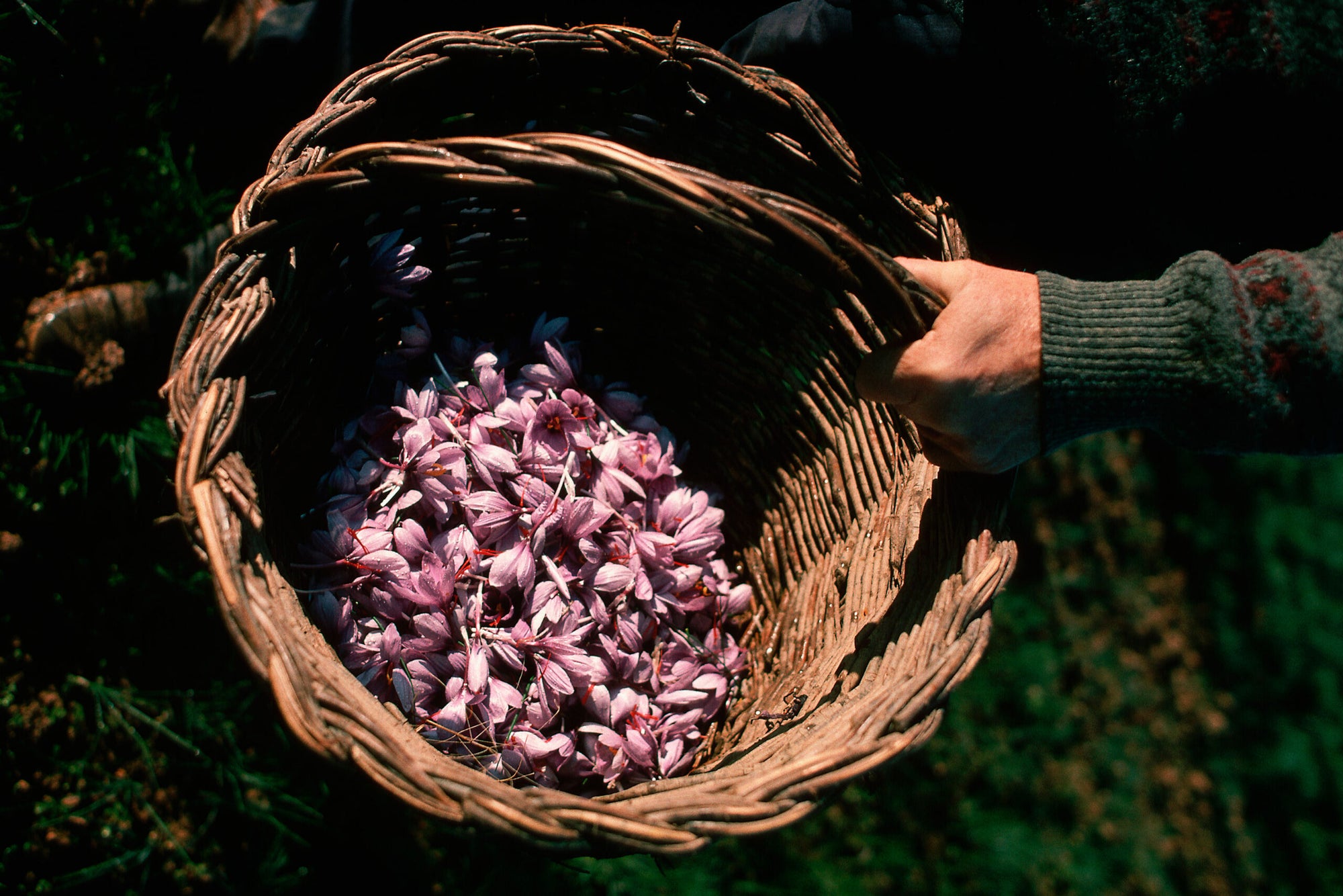 cultural-calendar-where-to-go-and-what-to-cook-in-october