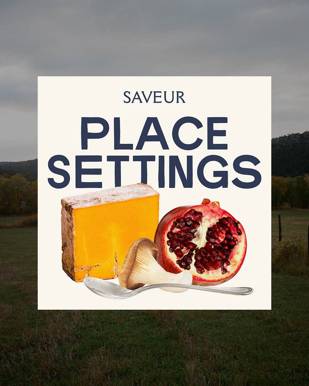 Saveur Place Settings logo