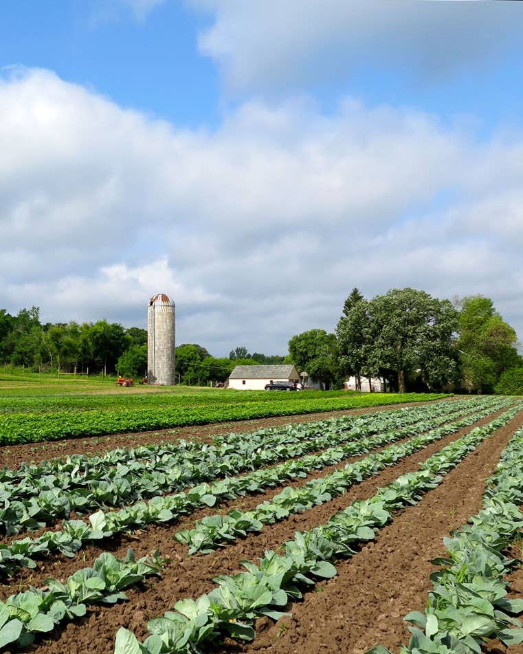 This Hmong American Farm in Minnesota Is the First of Its Kind