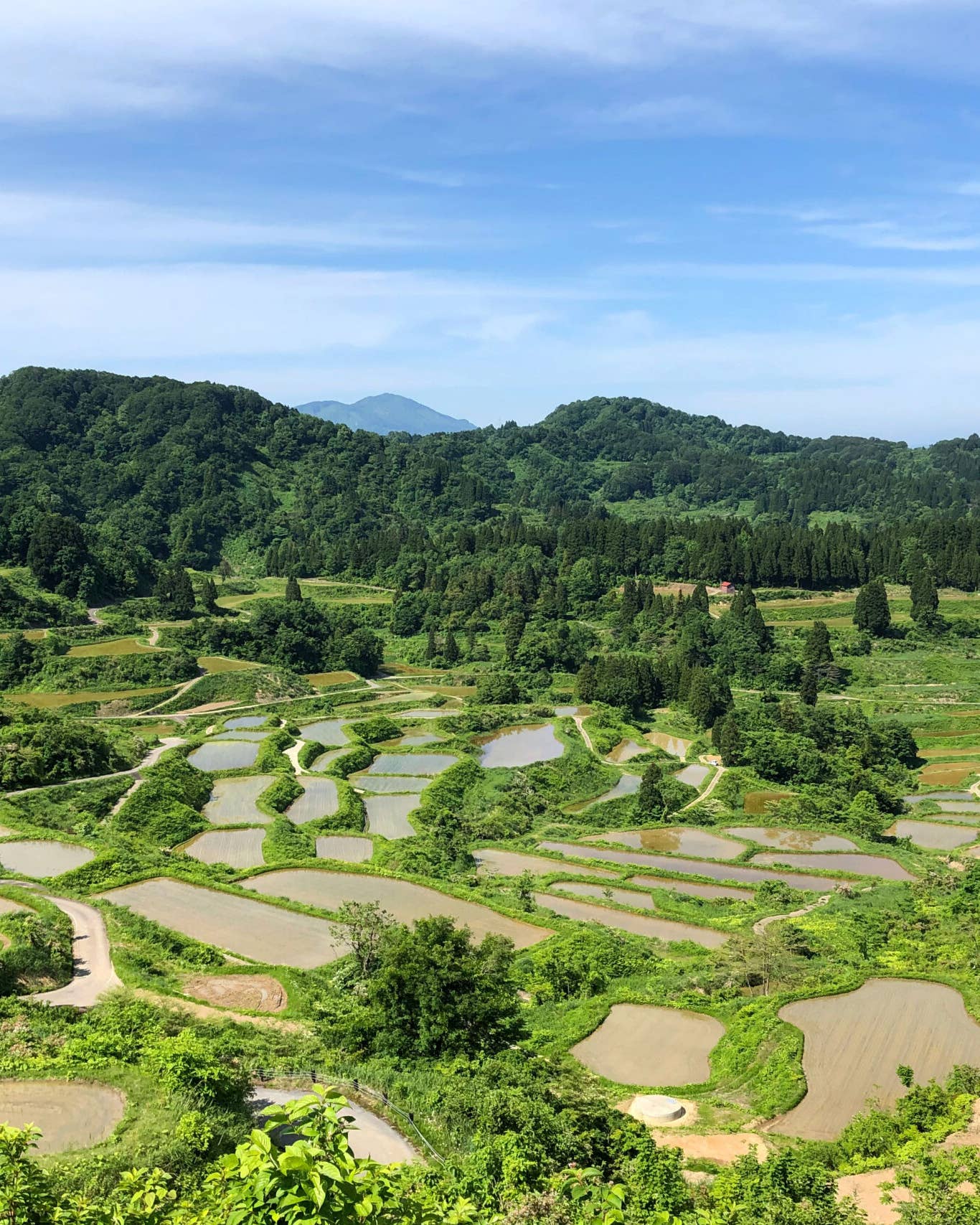 Tucked Away in Japan’s Rural Mountains, Plant-Driven Cuisine Is Flourishing Japanese Mountain