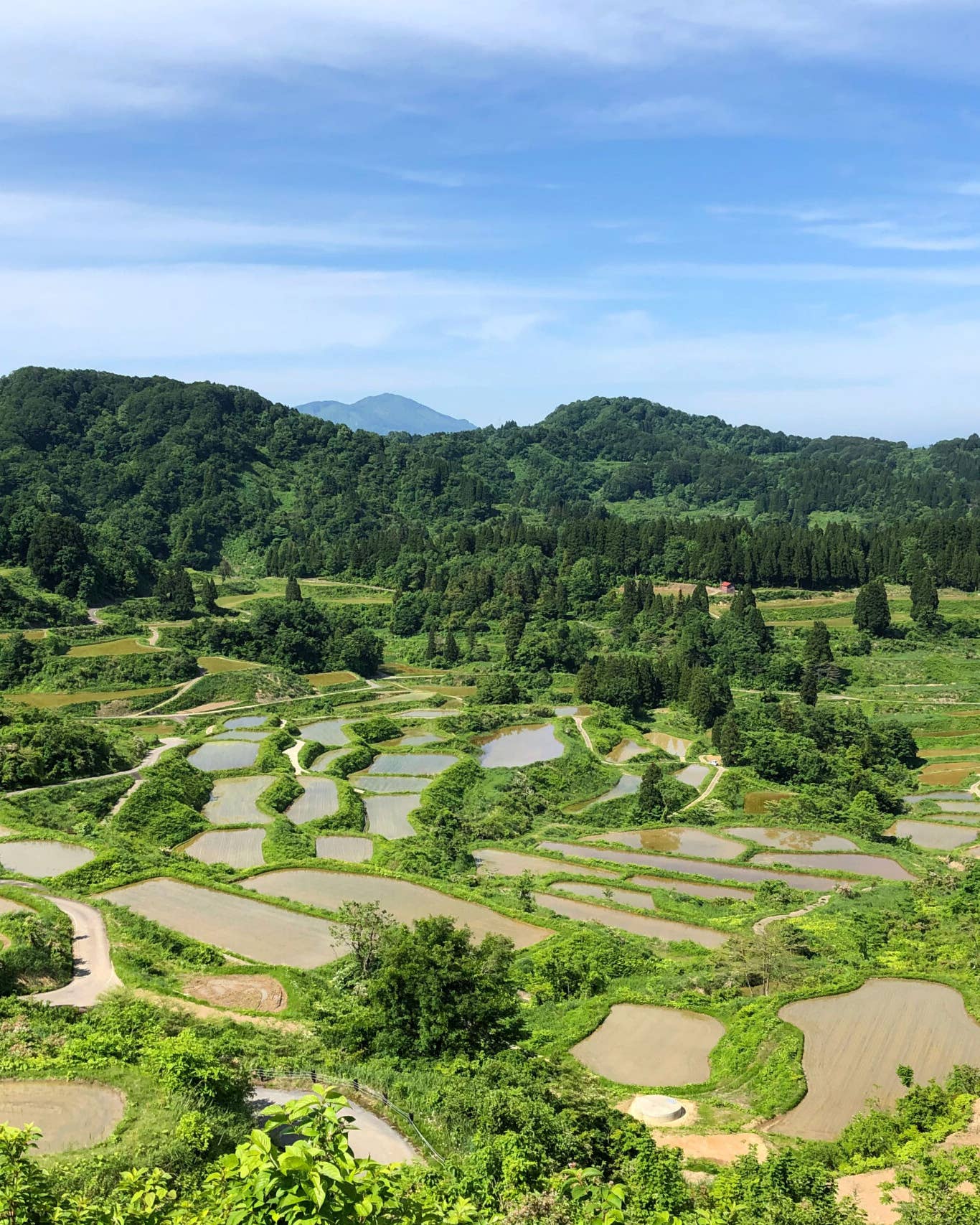 Tucked Away in Japan’s Rural Mountains, Plant-Driven Cuisine Is Flourishing