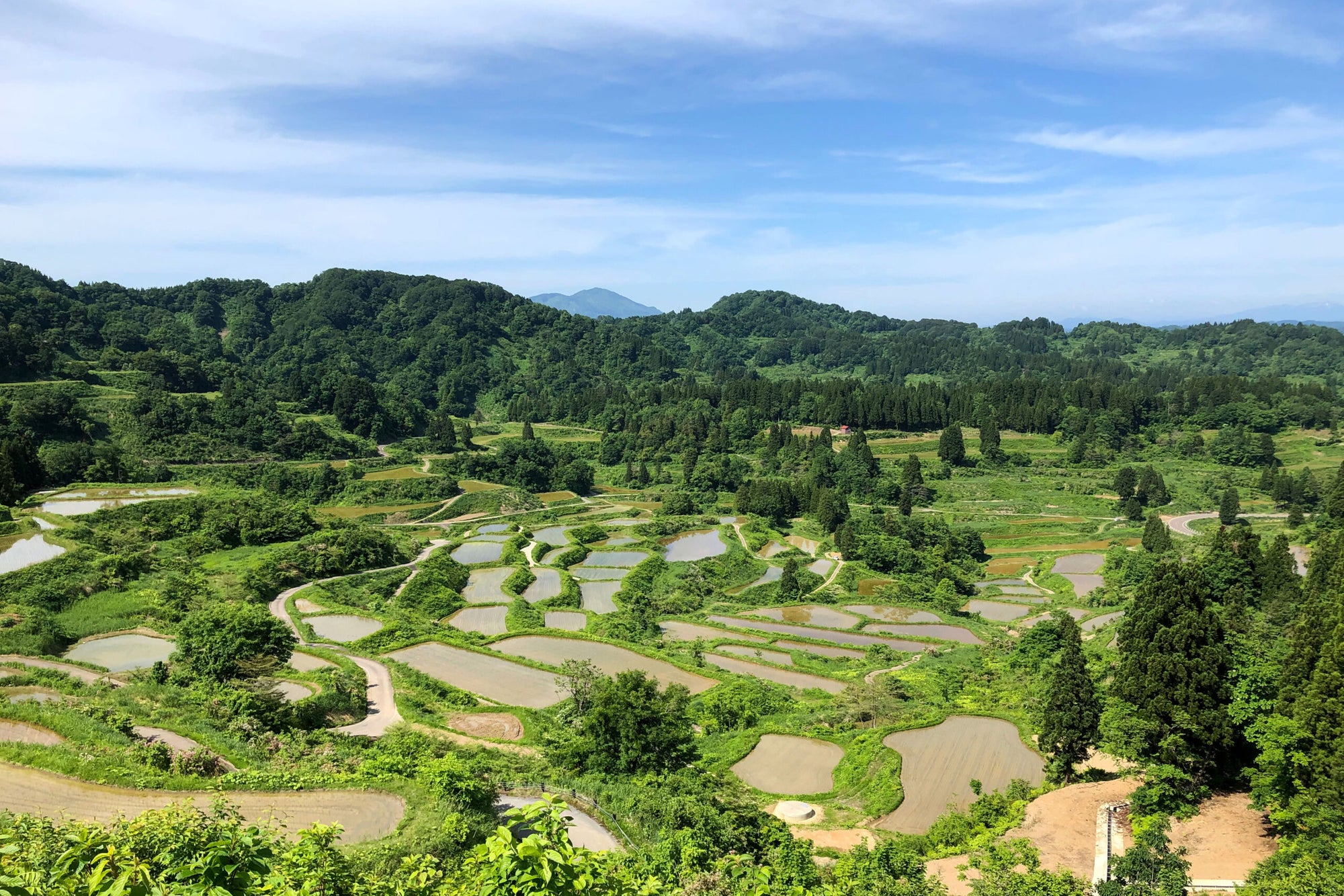 日本の田舎の山奥にひっそりと佇む植物中心の料理が盛ん