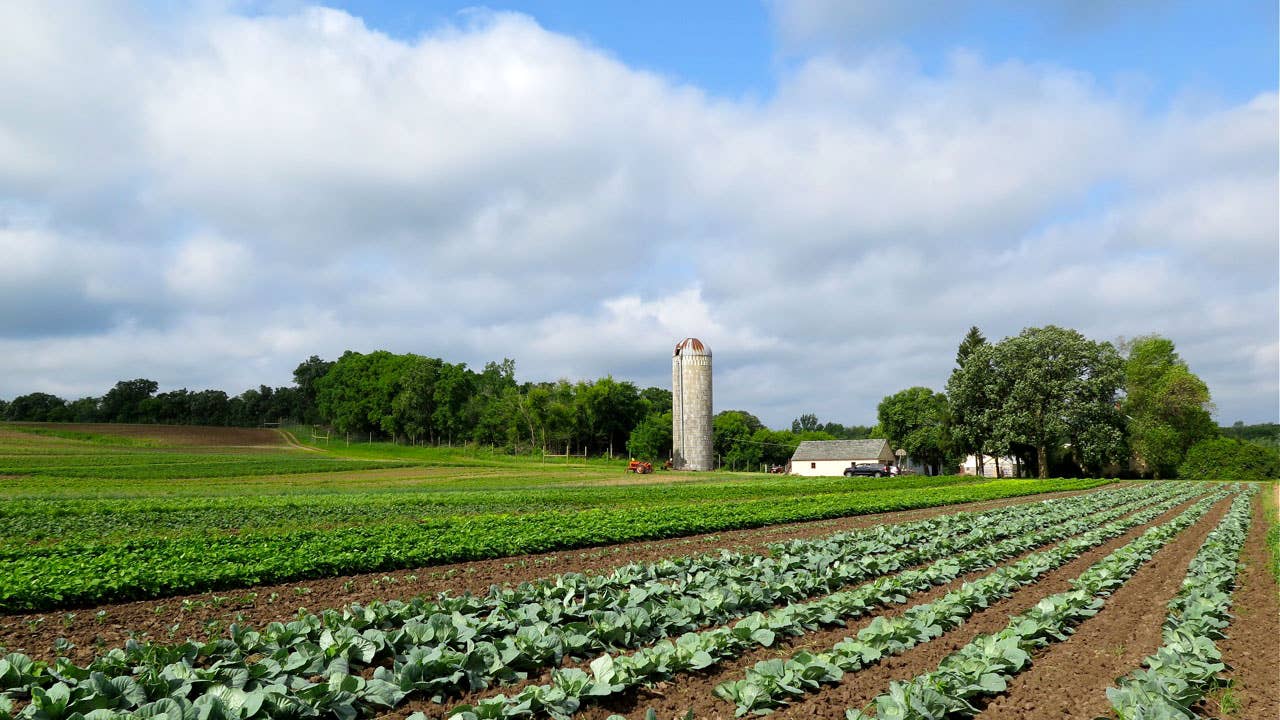 This Hmong American Farm in Minnesota Is the First of Its Kind