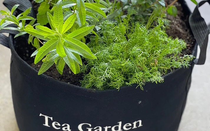 Tea Giftable Garden – Gardenuity