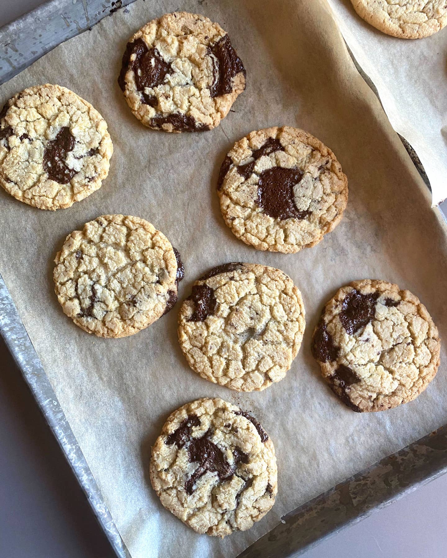 Chocolate Chip Cookie