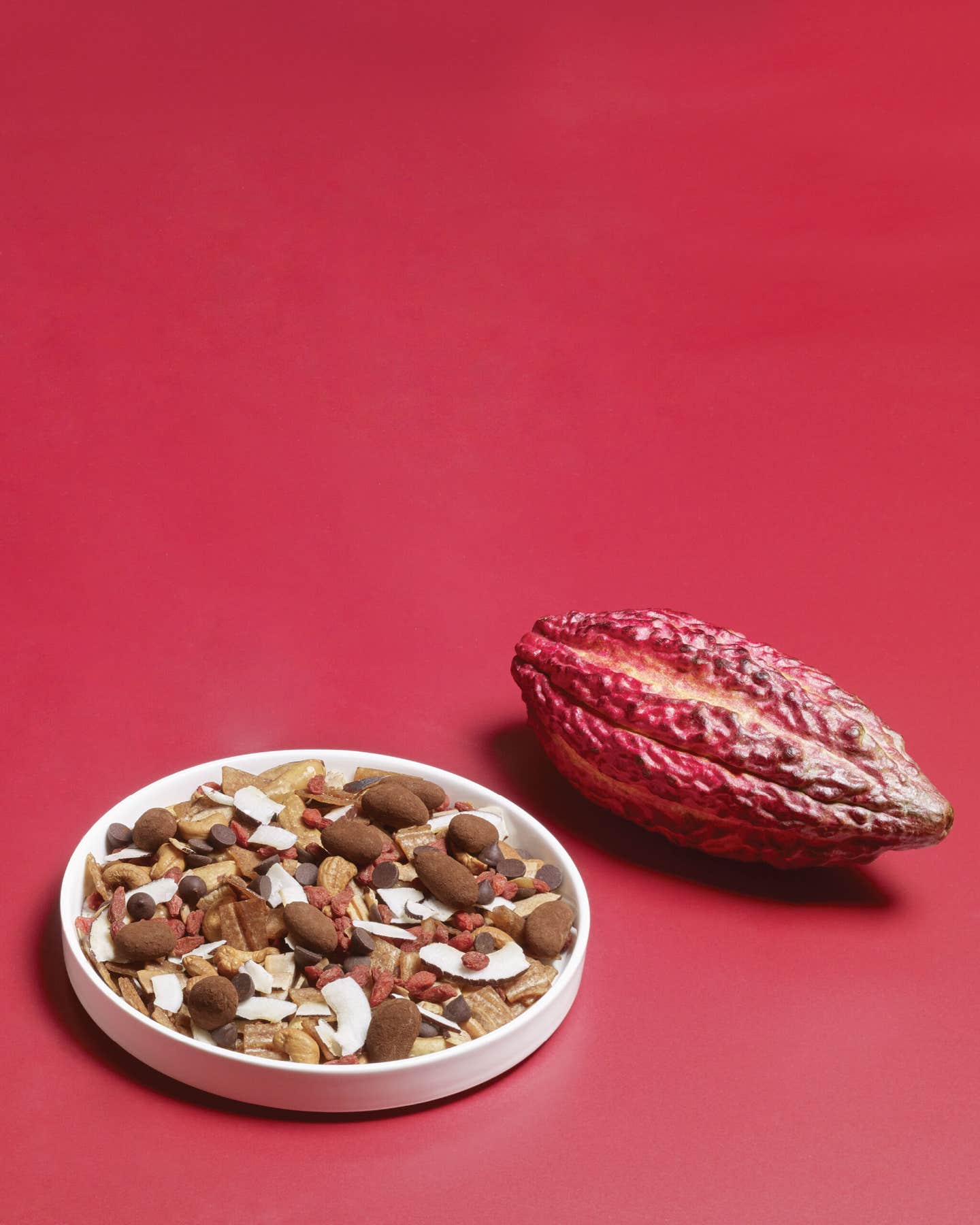 Chocolate Beyond the Bean Chocolate Beyond the Bean