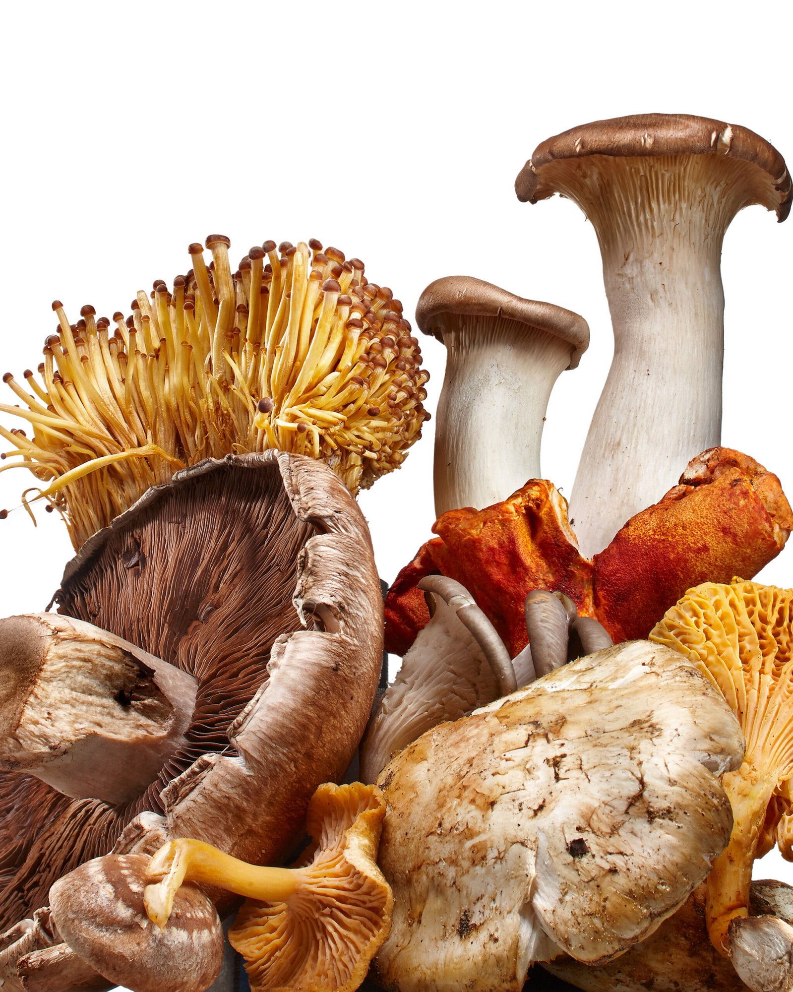 Top 12 Tips for Cooking with Mushrooms