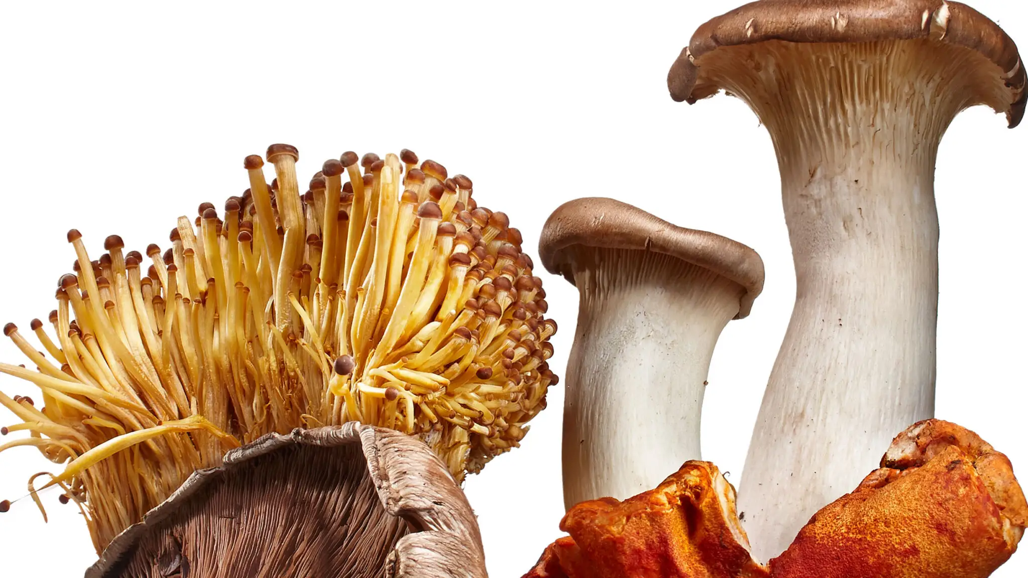 An d c v ec, image size:2047x1151