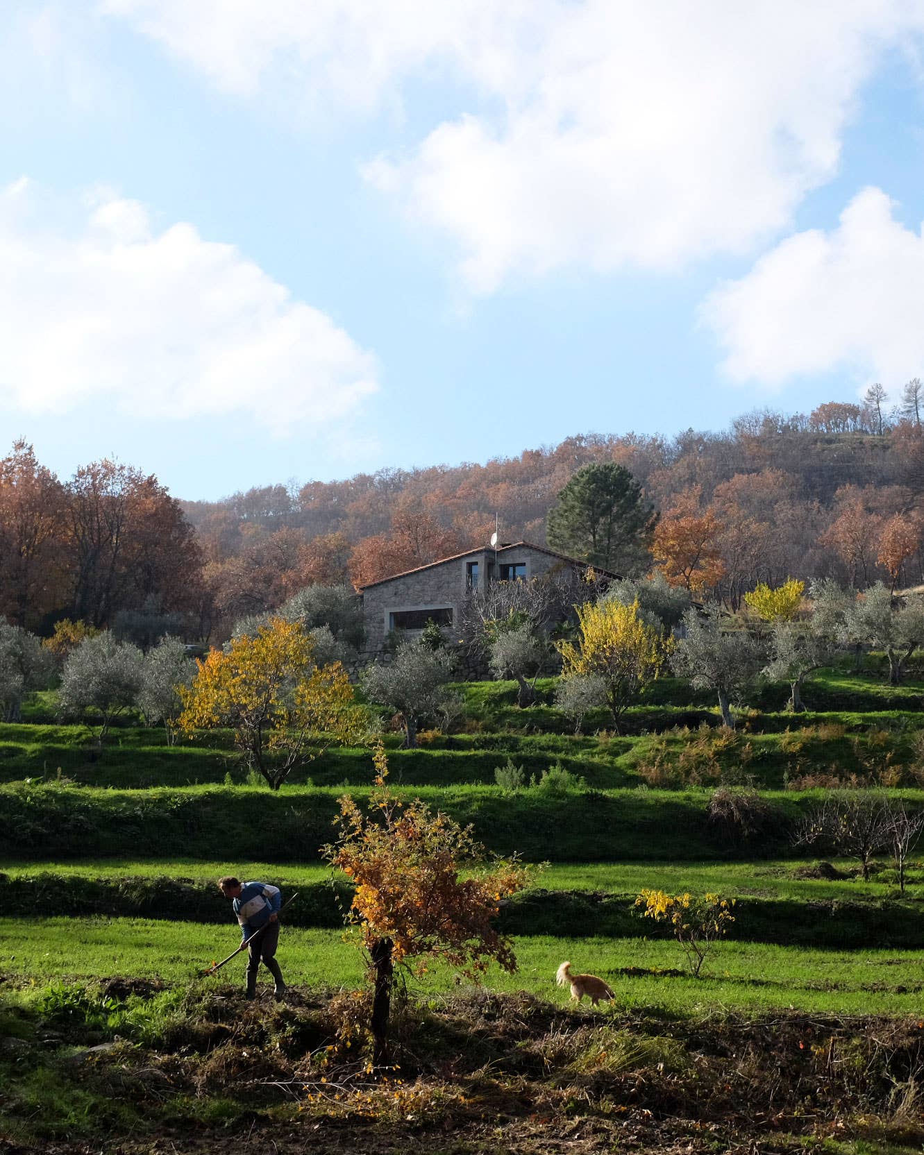 Your Pimentón Comes From My Quiet Corner of Spain Pimentón incl book plug