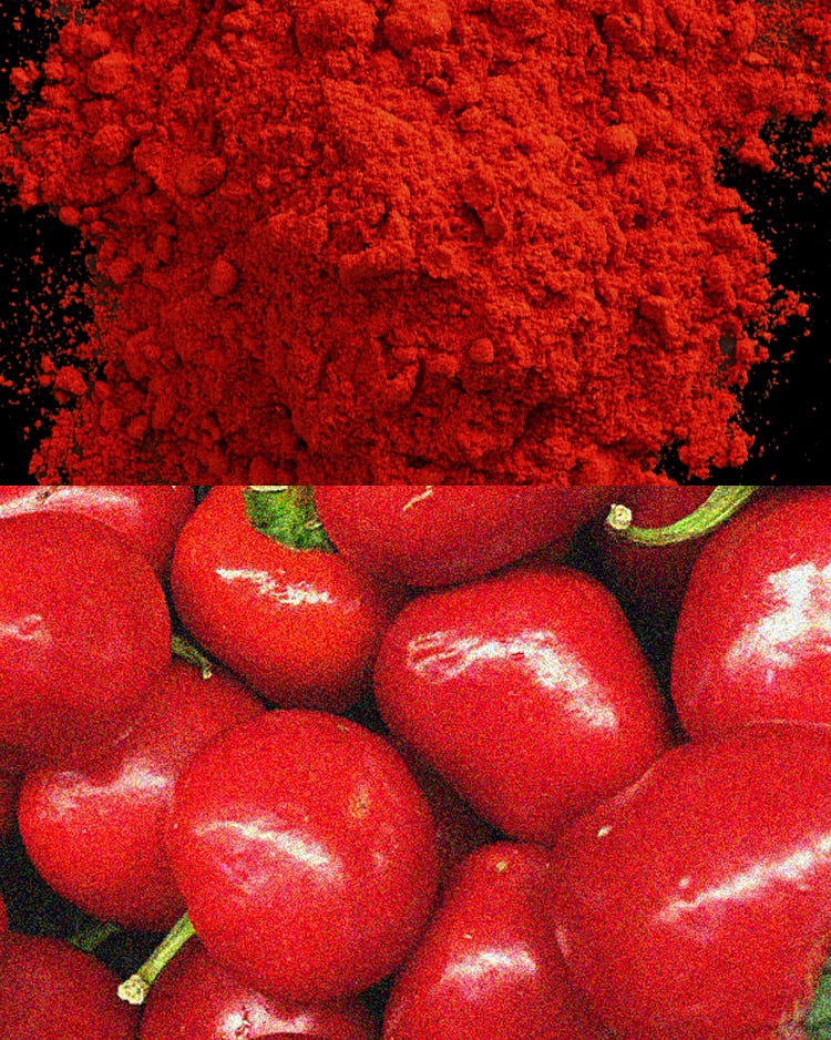 Your Ultimate Pimentón Primer Pimentón Primer