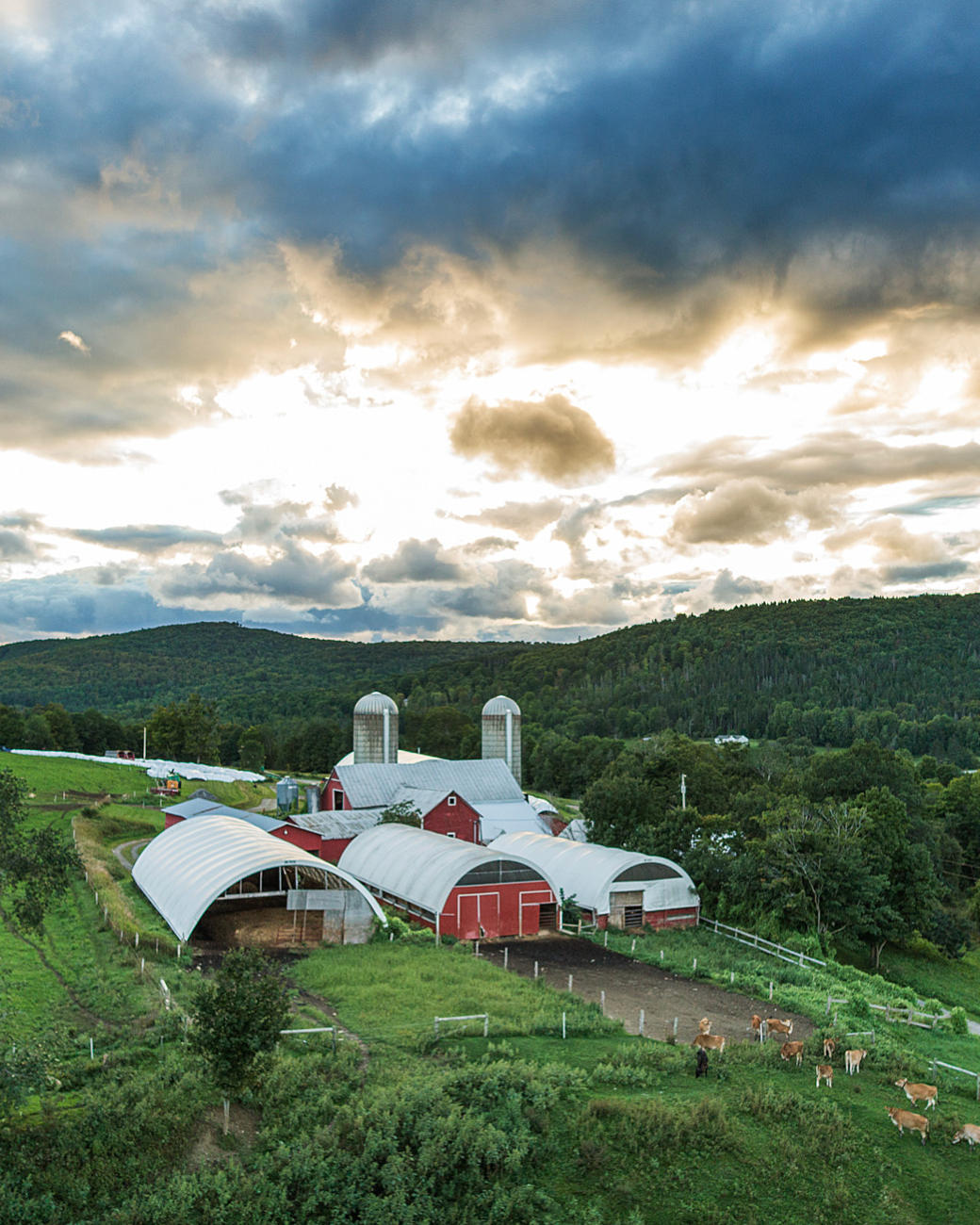 Serving the Planet Serving the Planet