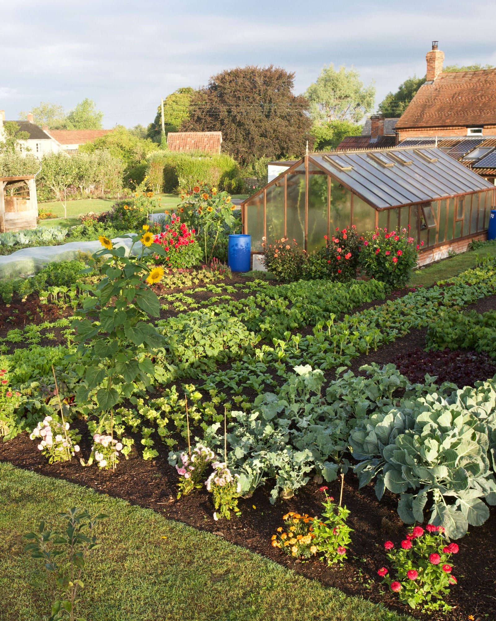Gardener calls out 'electroculture' as a foolish gardening fad