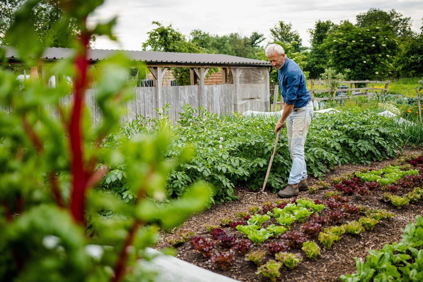 Gardening