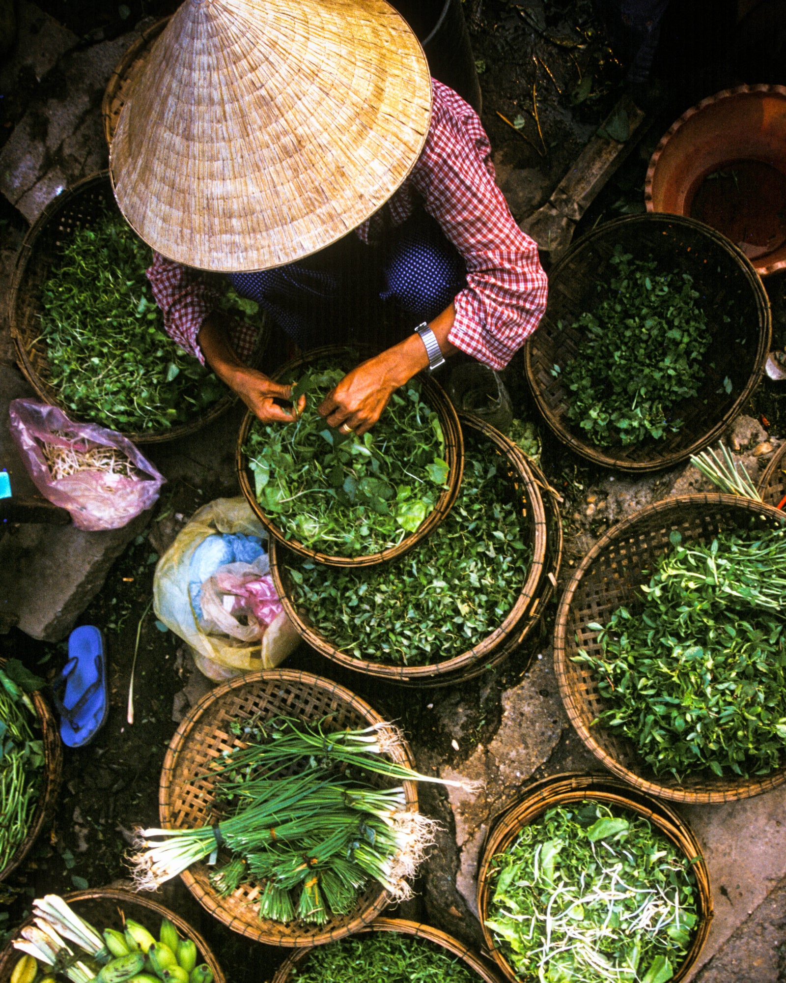 Pitching Guidelines Saveur