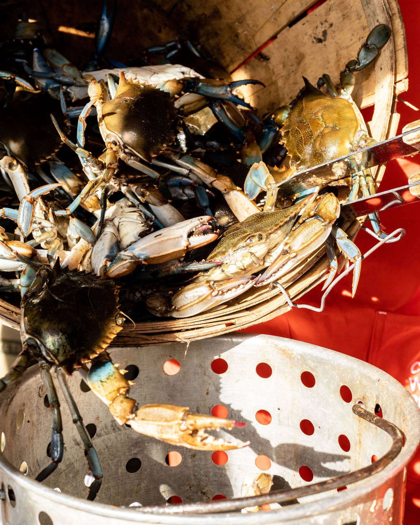 How to Host a Lowcountry Boil, According to an Expert The Crab Crack Cooper