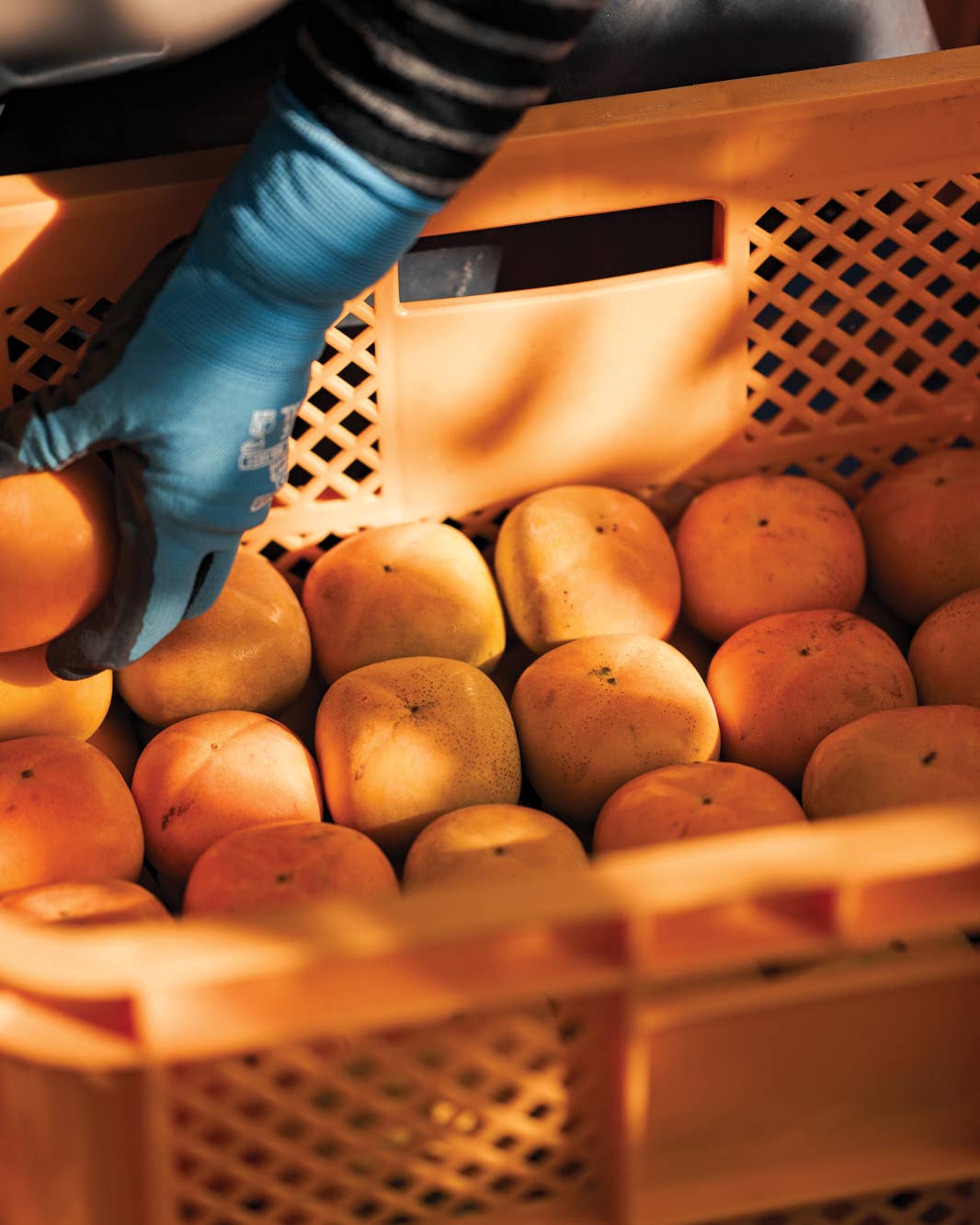 Meet the Makers Preserving the Past in Nara Meet the Makers Preserving the Past in Nara