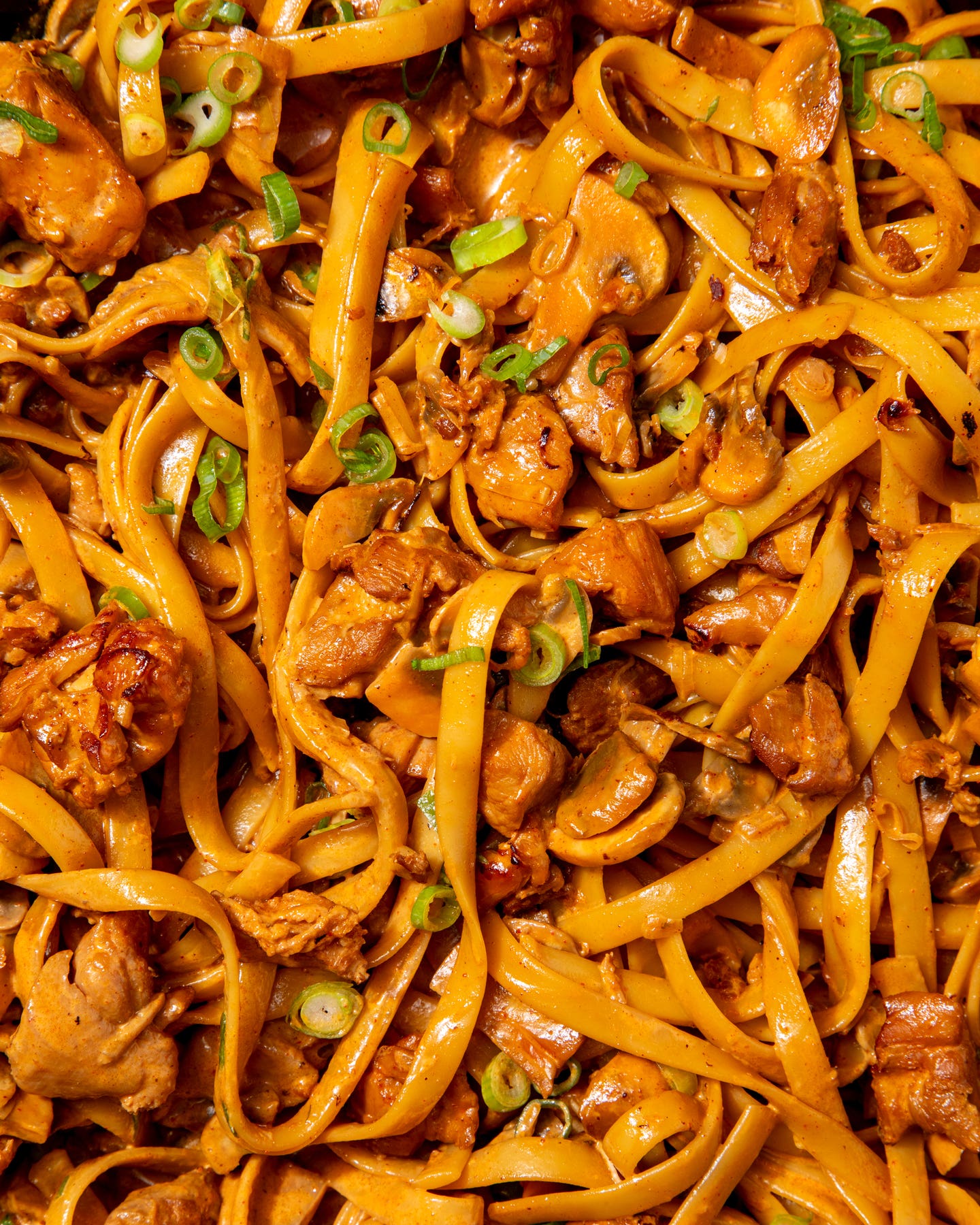 Creamy Gochujang Noodles