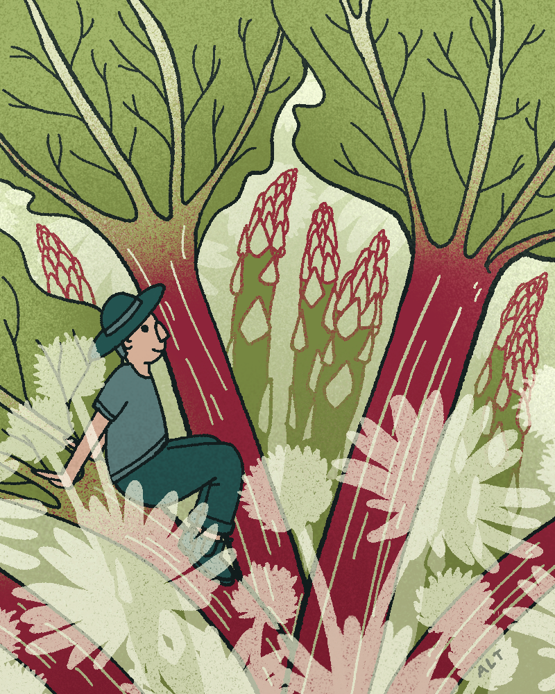 Saveur Plot to plate perennials illo