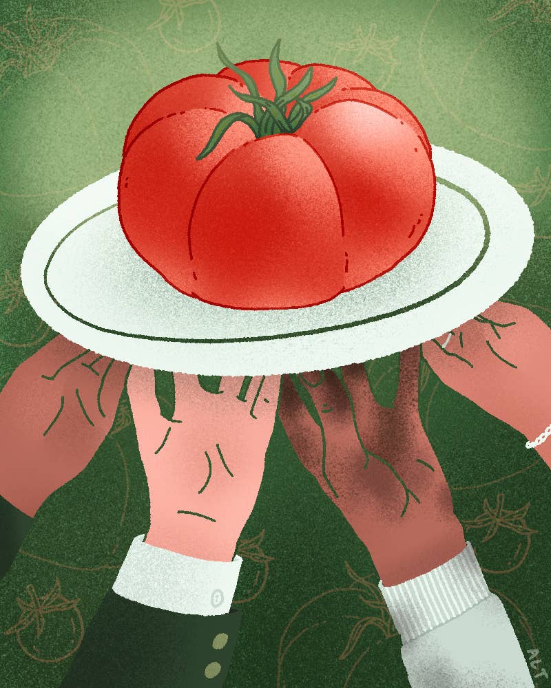 Why Alice Waters Believes Gardening Can Save Our Democracy Community supported Tomato
