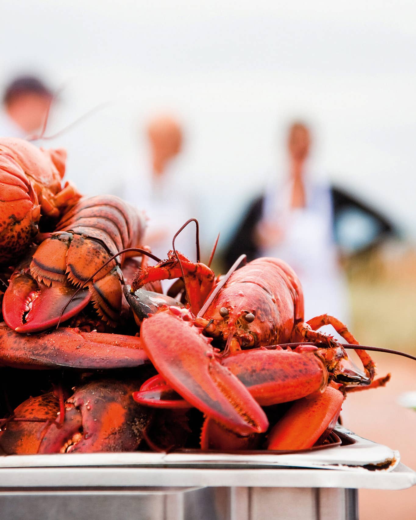 How to Eat Your Way Around Prince Edward Island Lobster Party