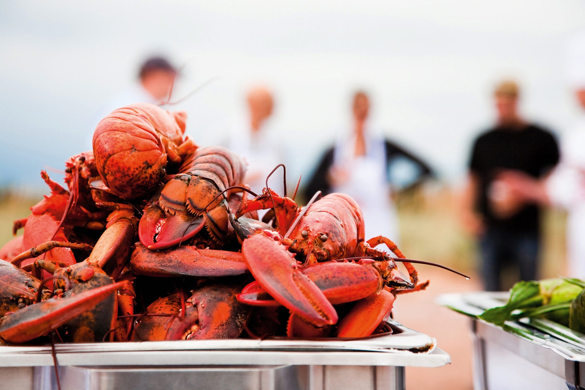 Learn how to Eat Your Approach Round Prince Edward Island Recipes Vista