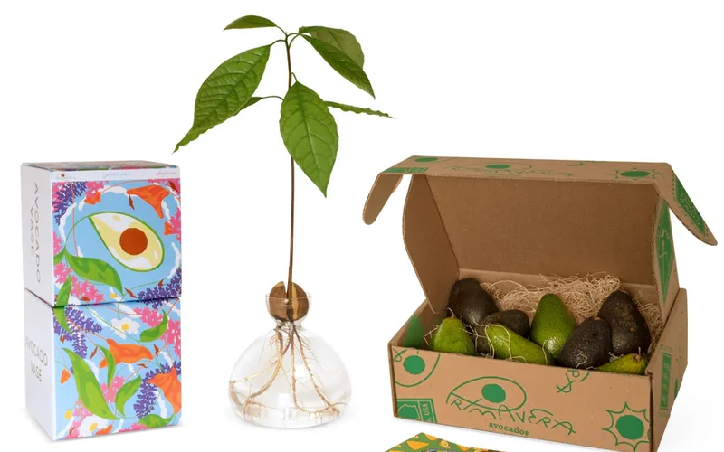 Primavera Avocados Holiday Gift Bundle