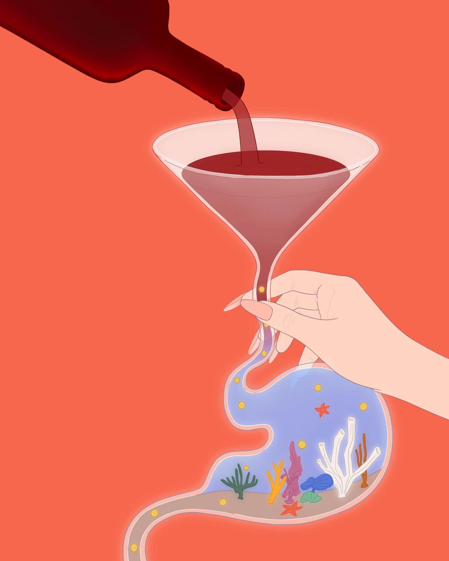 Alcohol and the Gut: Friends or Foes? Alcohol and the Gut