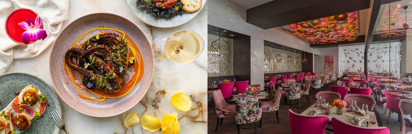 „Bloom & Amp“; Bitė