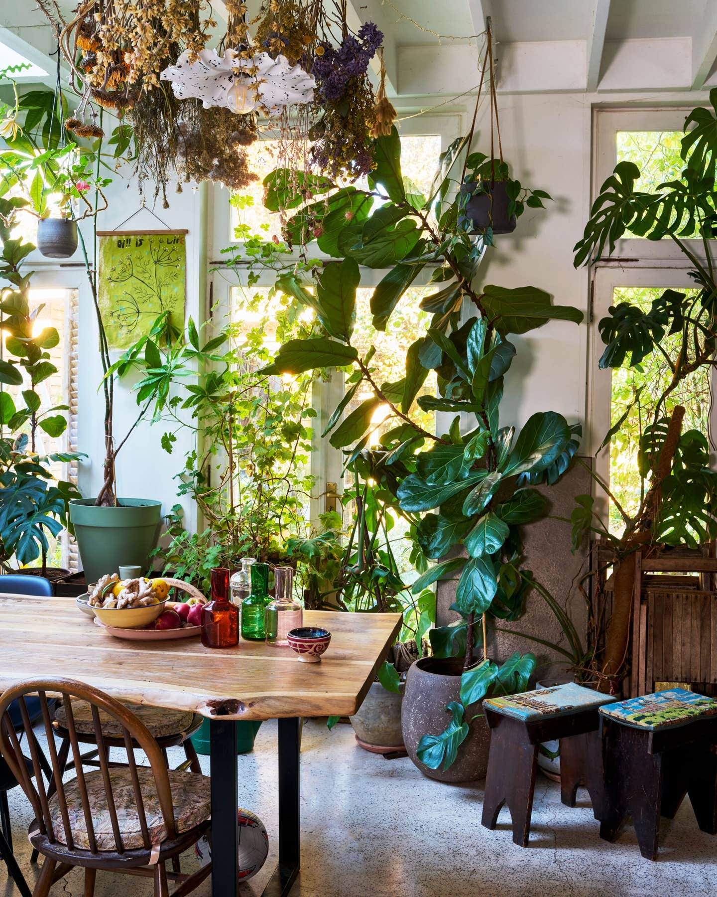 Plants in the Kitchen Plants in the Kitchen