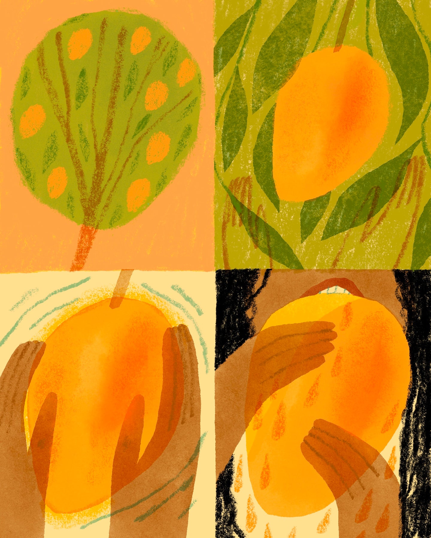 Mangoes