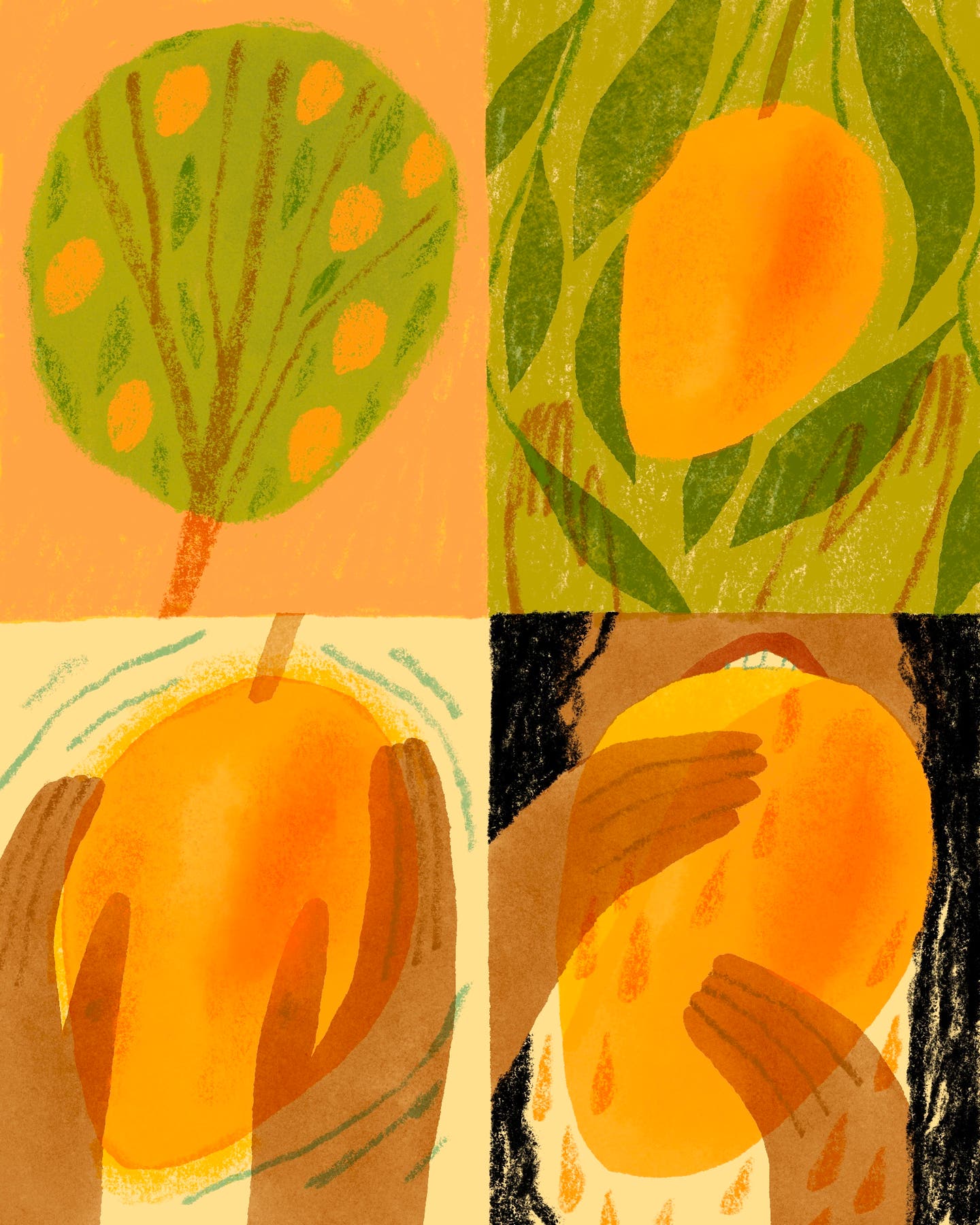 Mangoes