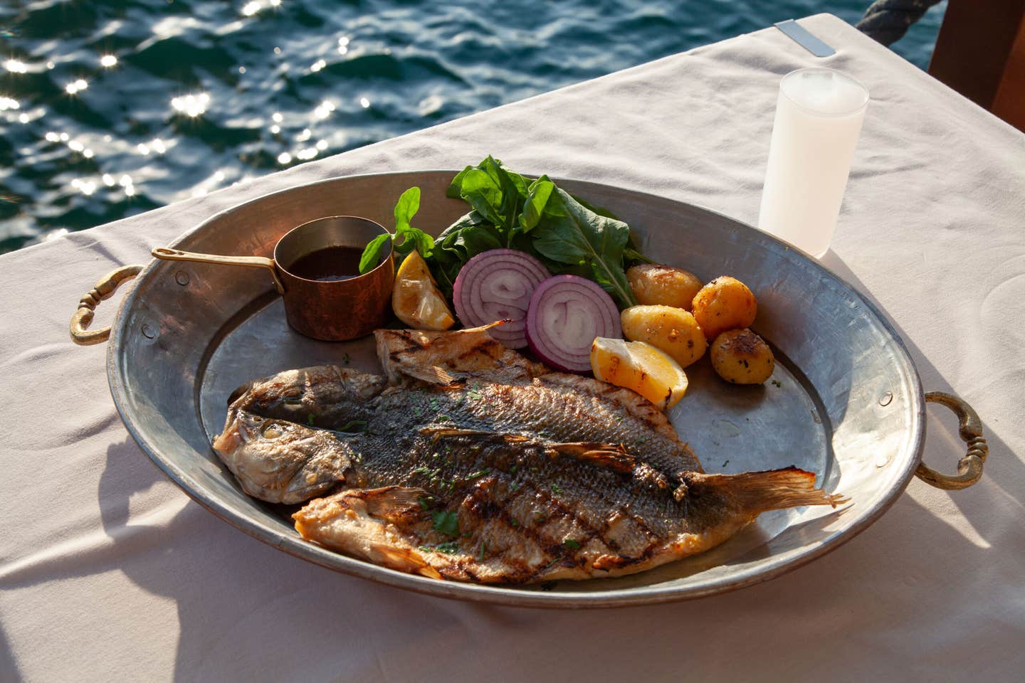 Fish