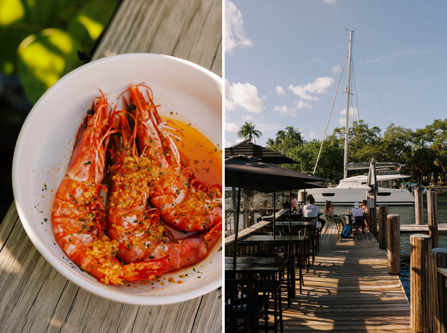 Shrimps