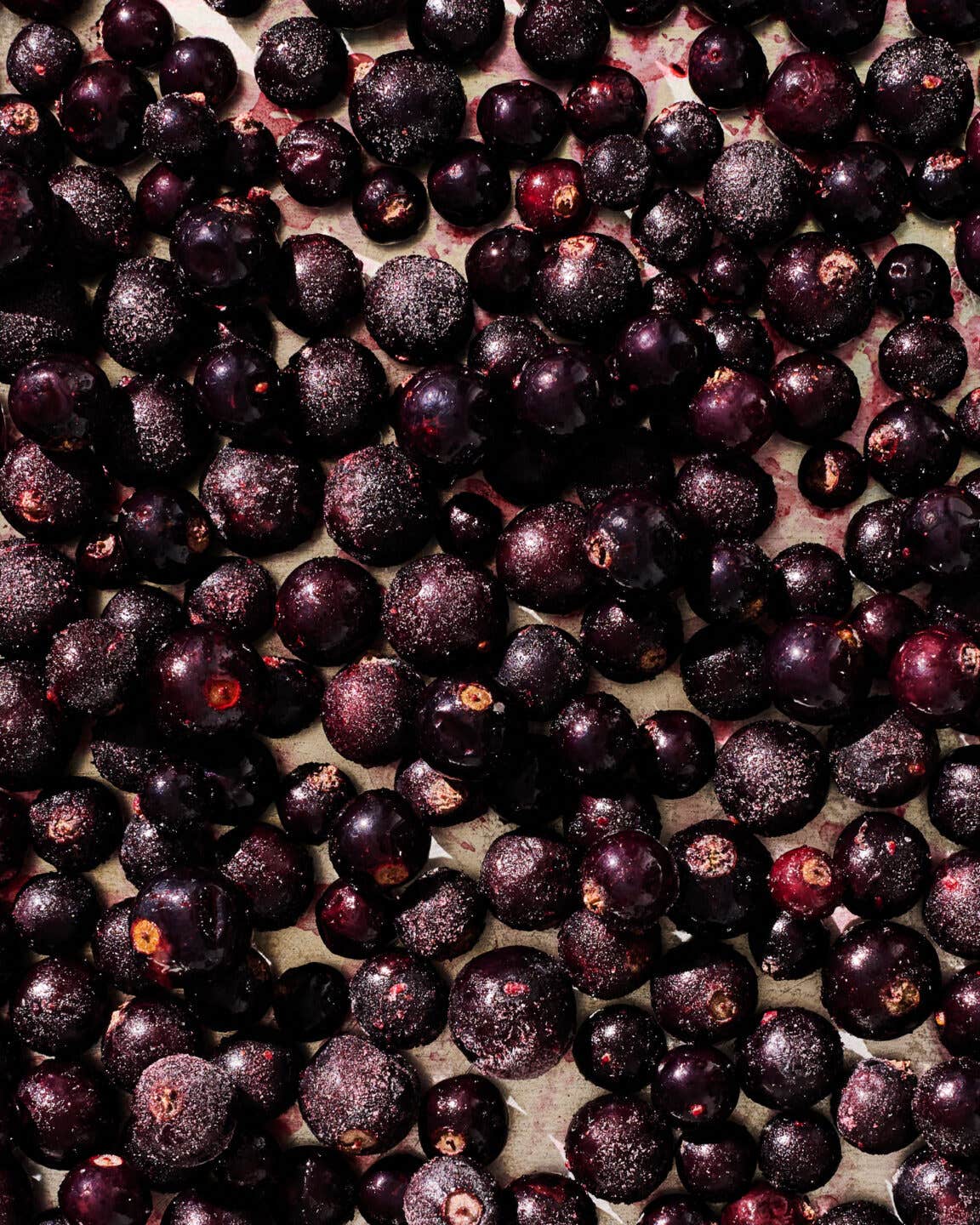 Black Currants Are the Bold Berry You’re Not Using (Yet) Black Currants