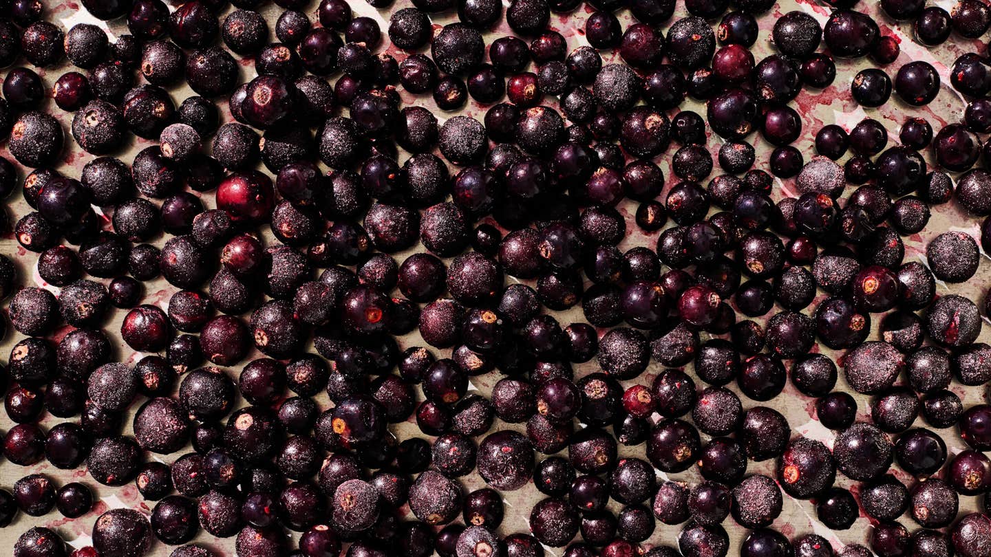 Black Currants