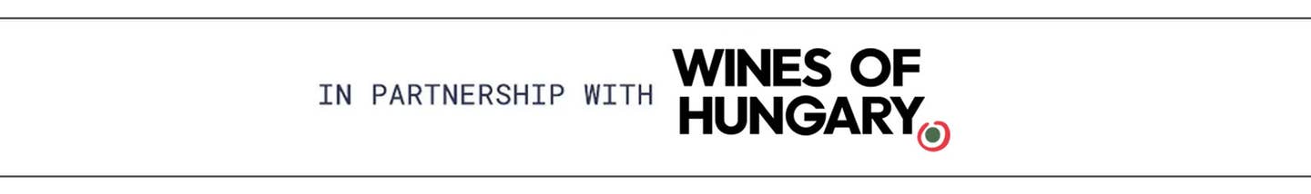 Wines of Hungary logo Wines of Hungary logo