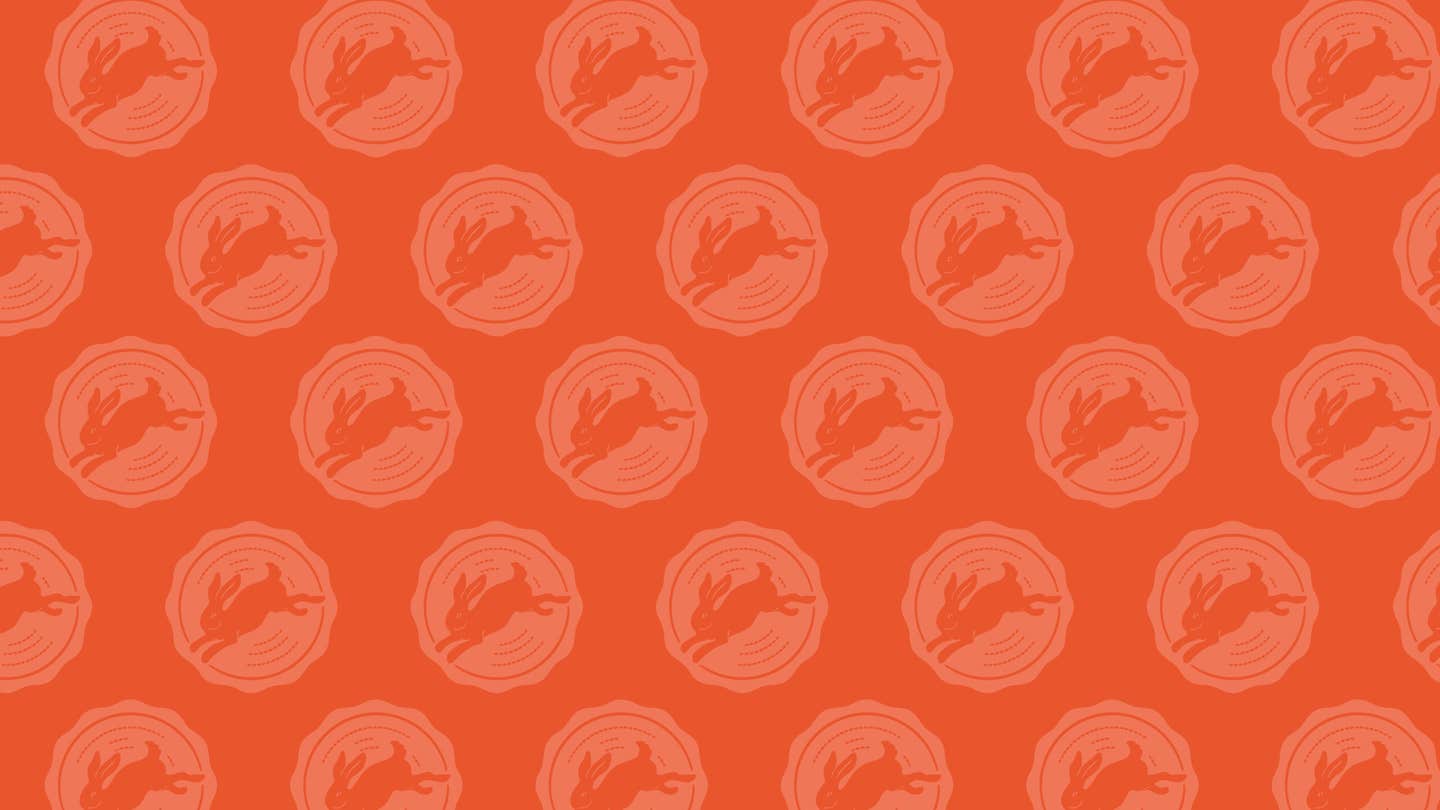 SAVEUR rabbit wallpaper