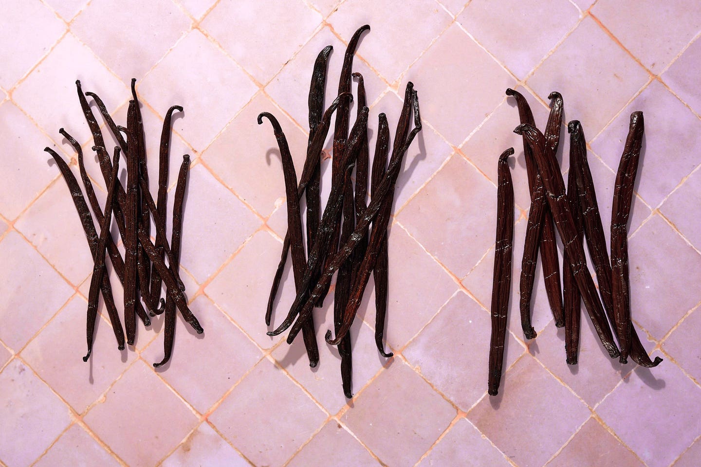 Vanilla Vanilla