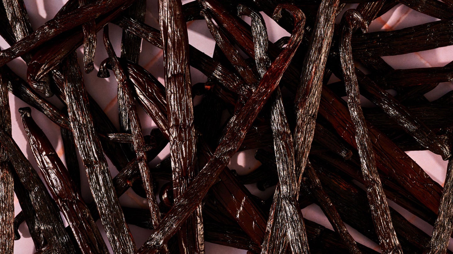 Vanilla Beans