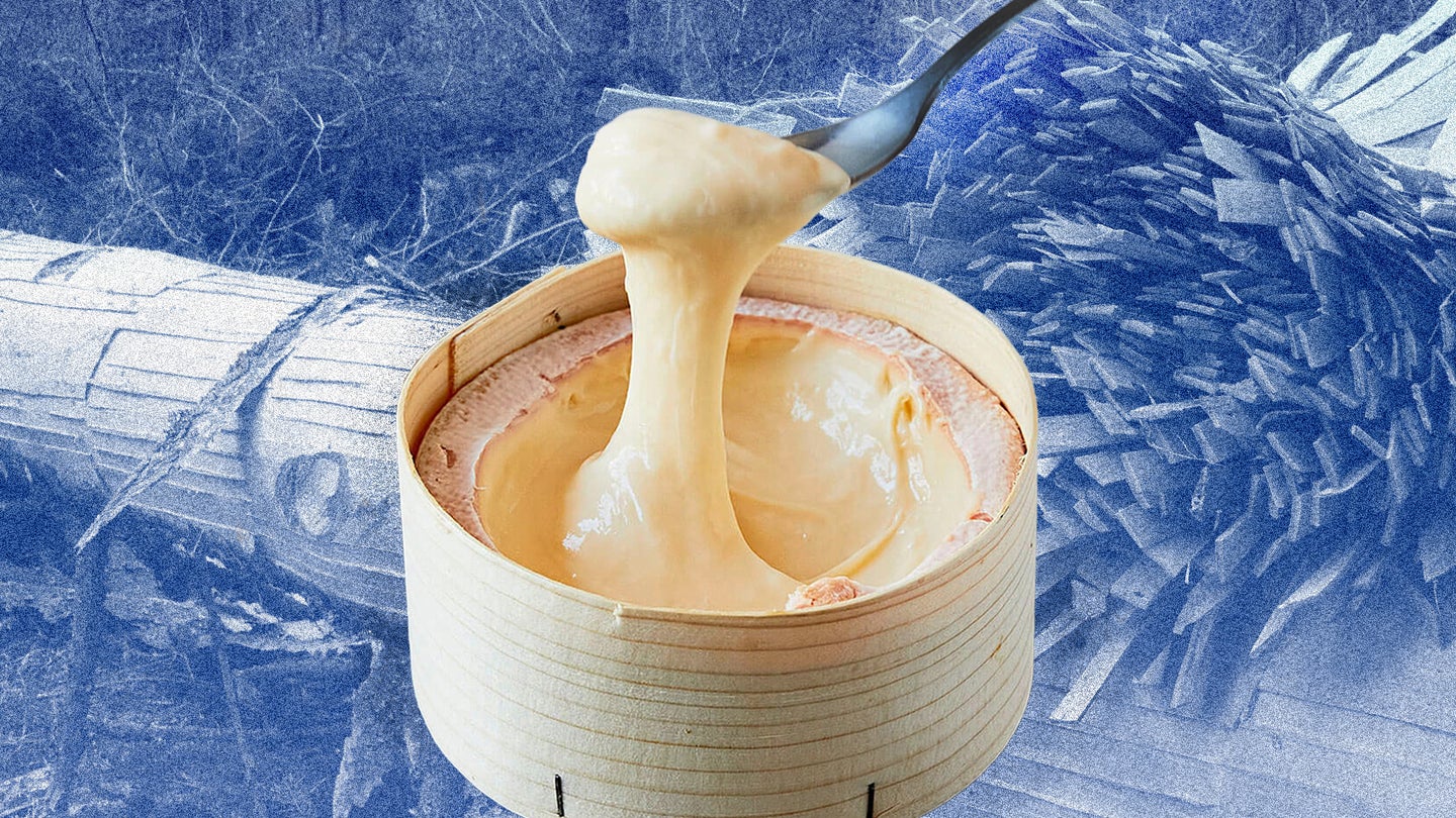 Gooey Cheese