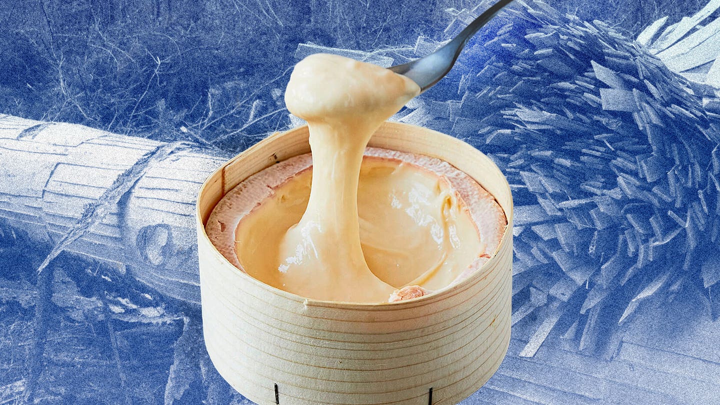 Gooey Cheese